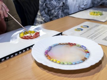 Schokolinsen werden in Petrischalen und auf einem Teller in eine Lösung eingelegt.