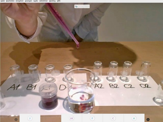 Digitales Lehr-Lern-Labor: Studierende experimentieren für Schülerinnen und Schüler per Videokonferenz. Foto: Pädagogische Hochschule Karlsruhe