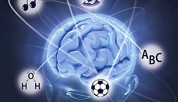 Ein Schädel mit sichbarem Gehirn von oben, Symbole für Themen wie Musik, Sport, Lesen drumherum, durch verbildlichte Gehirnströme mit diesem verbunden 