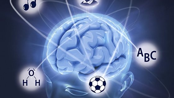 Cover Trends in Neuroscience and Education 40 Ein Schädel mit sichbarem Gehirn von oben, Symbole für Themen wie Musik, Sport, Lesen drumherum, durch verbildlichte Gehirnströme mit diesem verbunden