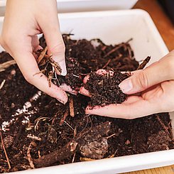 Foto: Andrea Fabry/PHKA