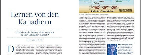 Vorschau auf Artikel